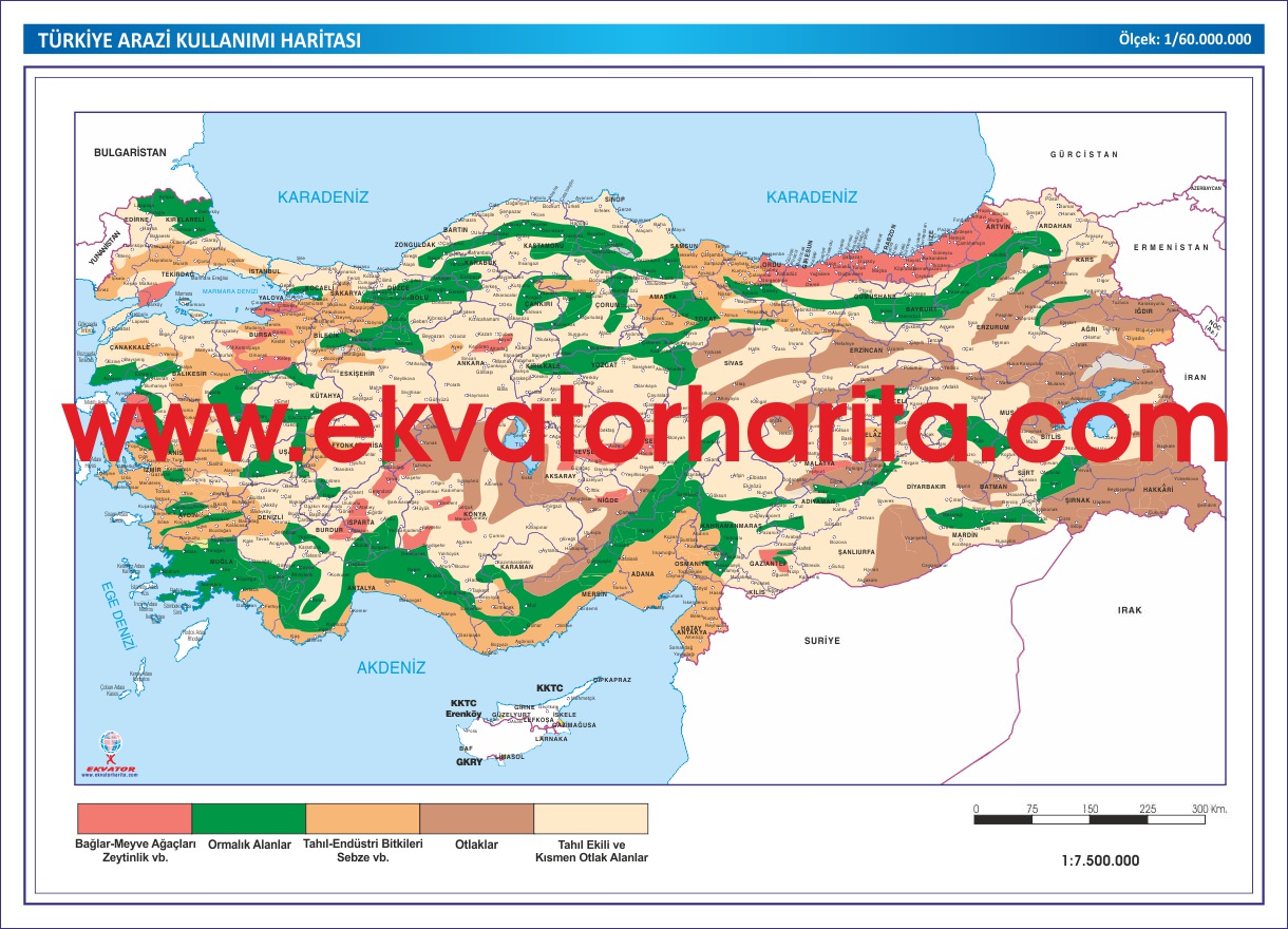 TÜRKİYE ARAZİ HARİTASI